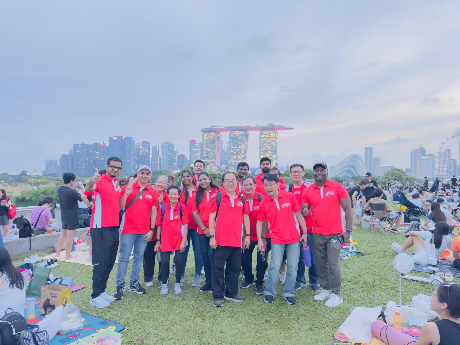 National Day Parade volunteering